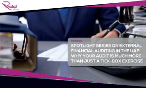 OPINION: Spotlight Series On External Financial Auditing In The UAE Why Your Audit Is Much More Than Just A Tick-Box Exercise